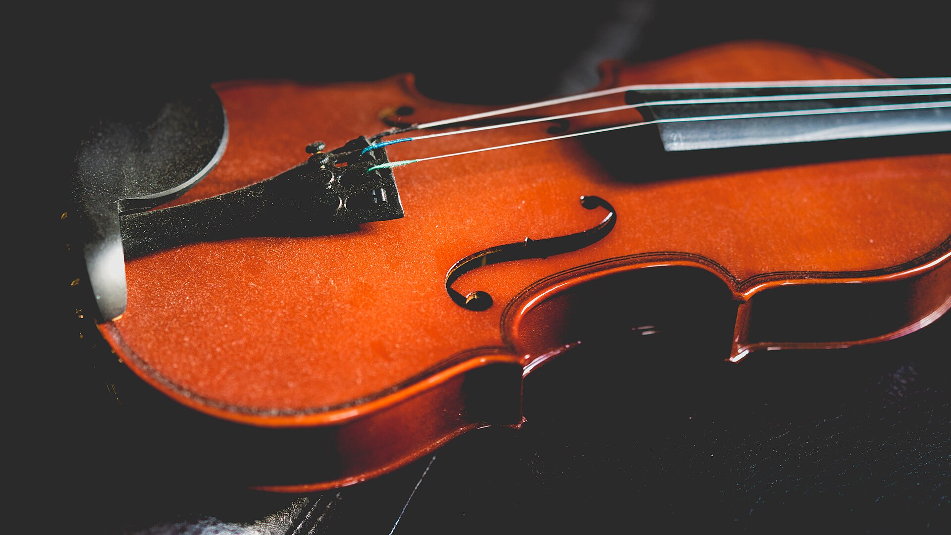 Close-up of a violin