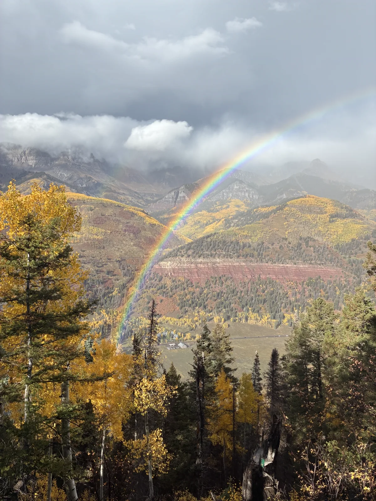 A rainbow arcing over autumn aspens in the San Juan mountains
